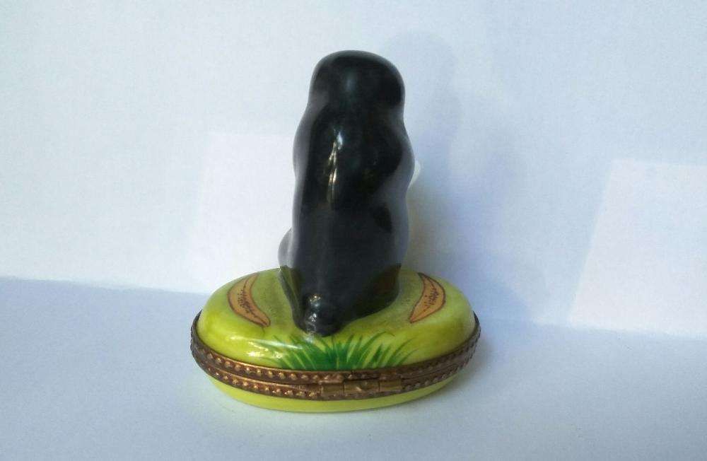 Imagem 4