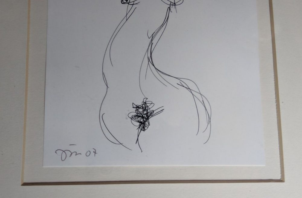 Imagem 3
