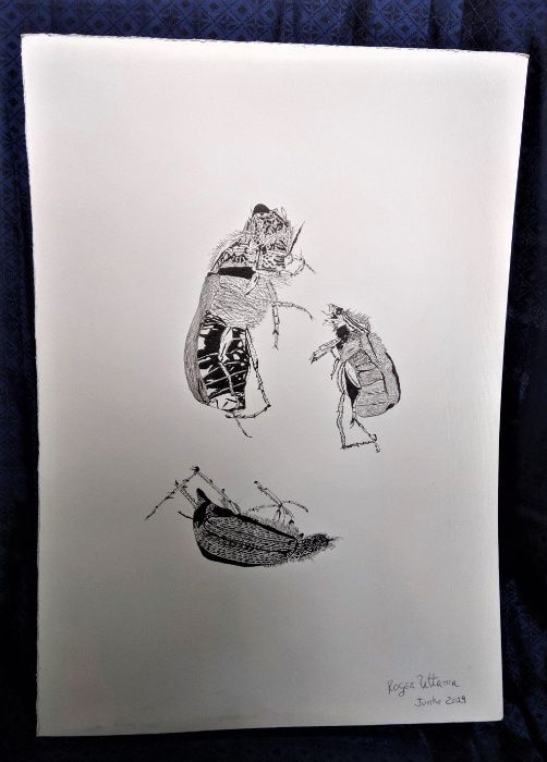 Desenho Tinta China Insecto Roger Uttama 2