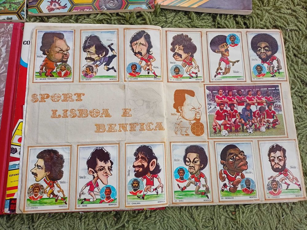 Imagem 7